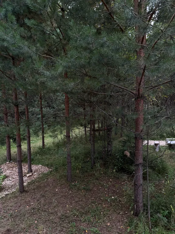 Поместье Сытый Лось с шикарным видом на Долину