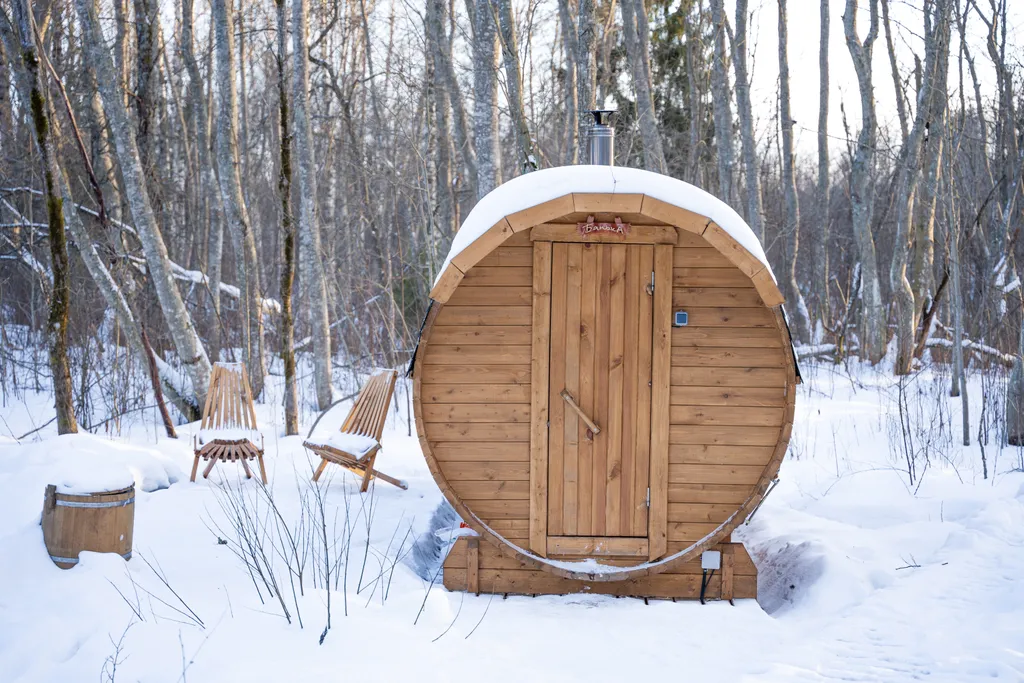 Коттедж Панорамный всесезонный купол с видом в лес — Сиверский