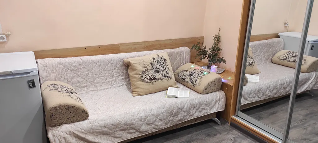 Студия с санузлом и зоной кухни