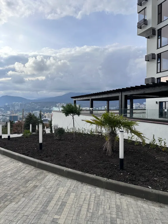 Квартира-студия в окружении хвойного леса и гор.