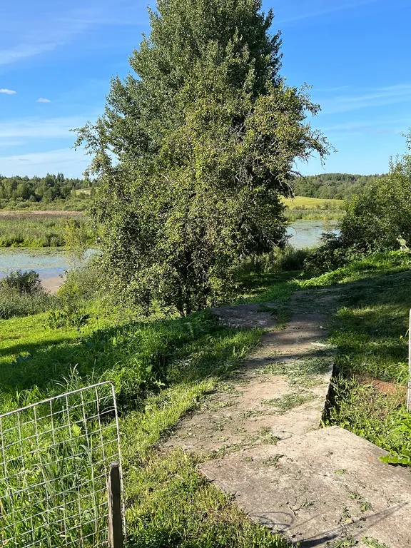 Деревенский домик на берегу озера