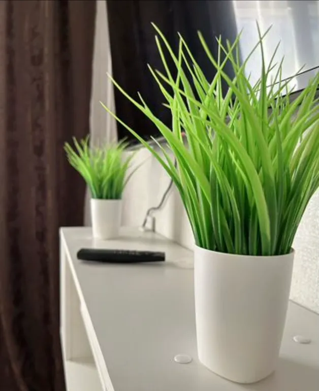 1 комнатная квартира