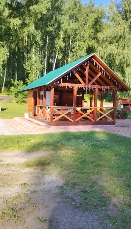 Летний номер с видом на березовый лес