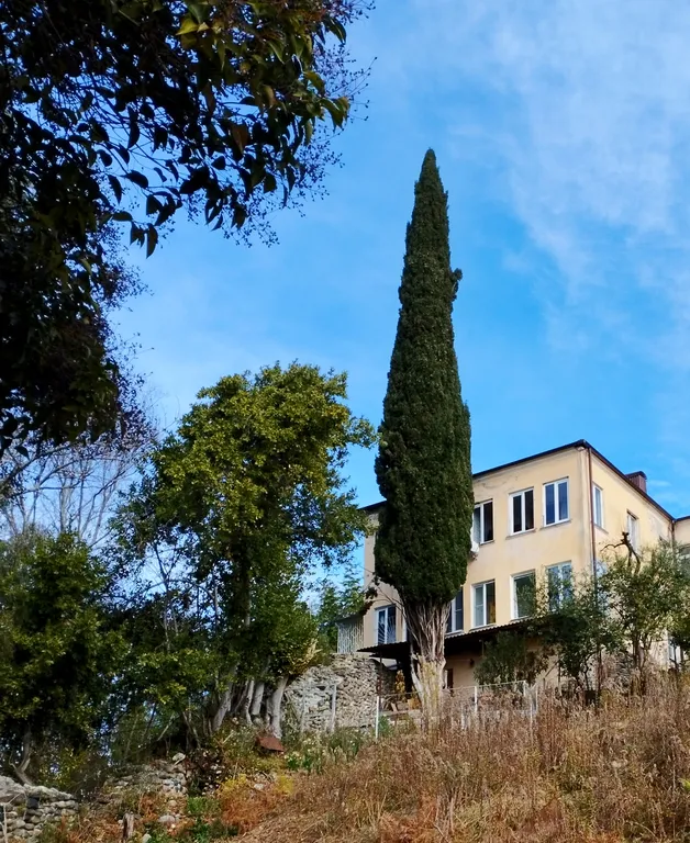 Квартира в доме на великой стене с видом на море и эвкалиптовую рощу