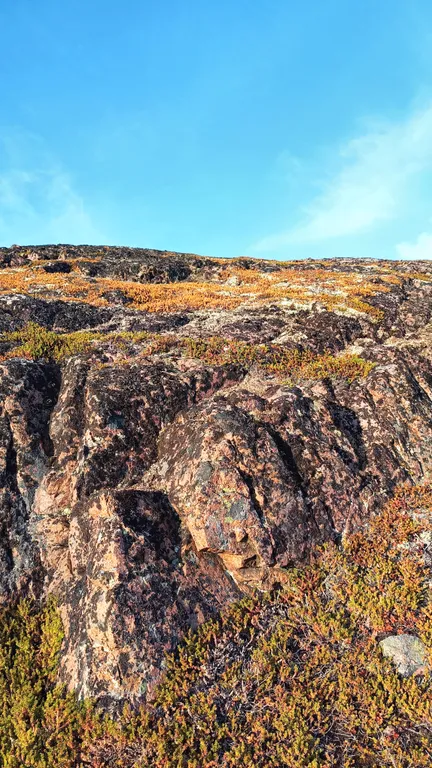 Квартира в Териберке