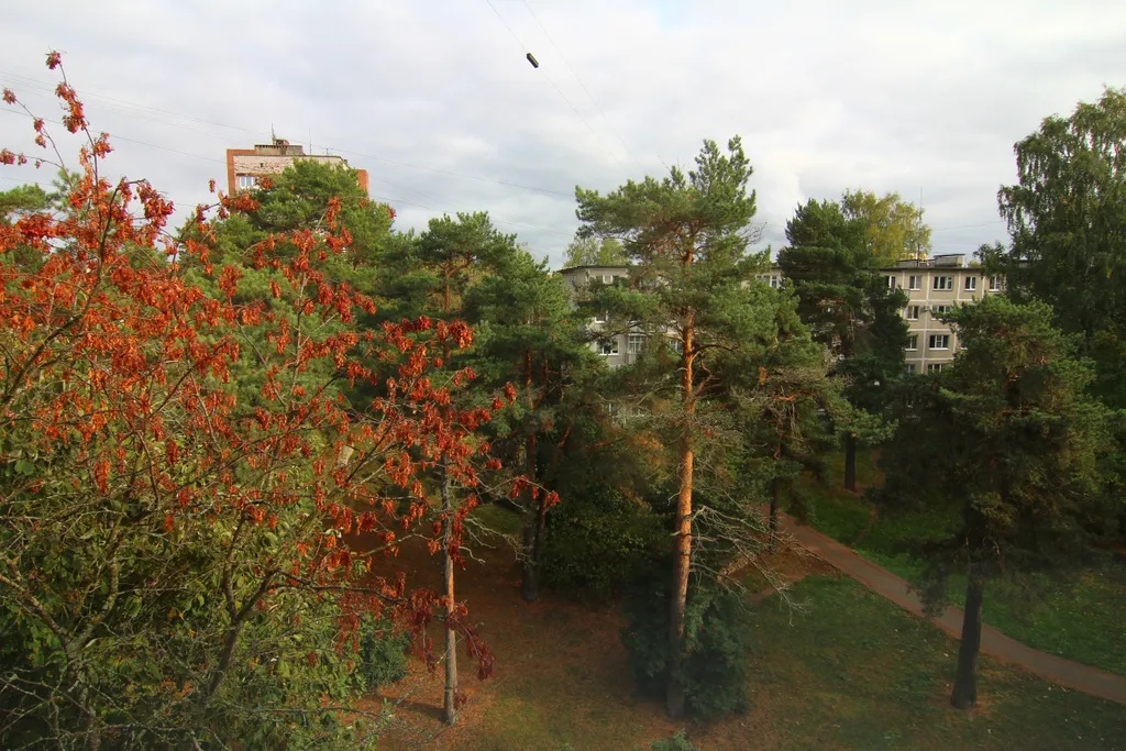 Квартира люкс в центральном районе города