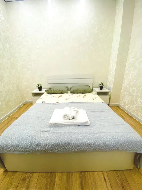 Квартира Уютная евродвушка возле ТРЦ Хан Шатыр — аренда посуточно в Астана (Нур-Султан)