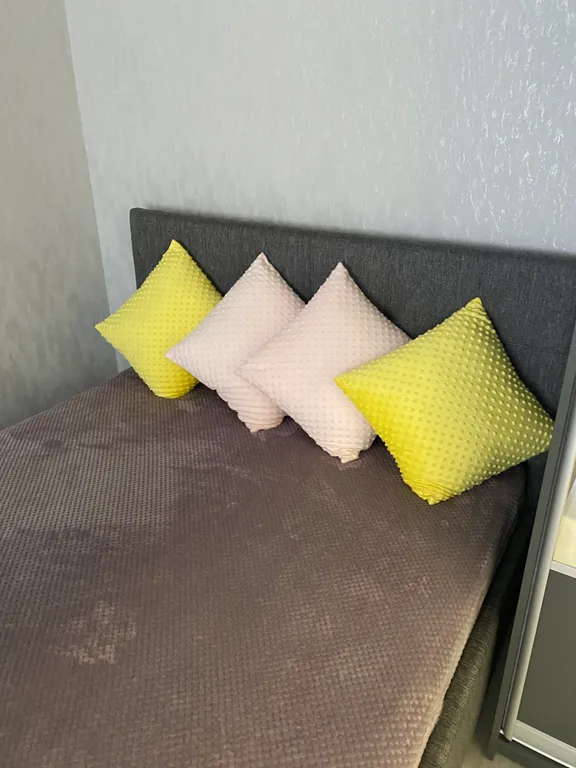 Окно в Париж