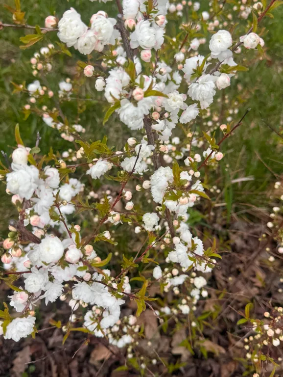 Коттедж Домик в предгорье со всеми удобствами — Краснодар