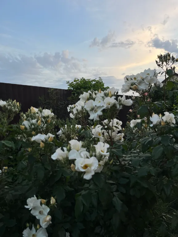 Уютная квартира на земле