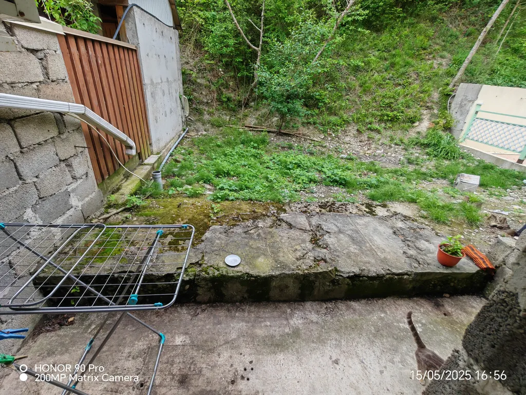 Танхаус Тихий