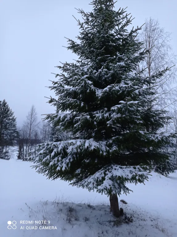 Коттедж Коттедж Южный Берег Карелии — Петрозаводск