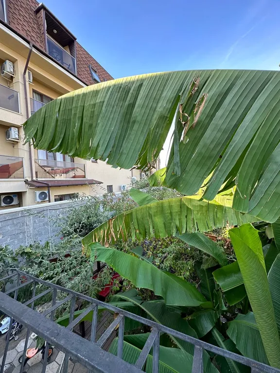 Квартира Квартира Частный сектор на берегу моря — Сириус