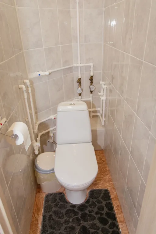 Уютная квартира в центре поселке Пушкинские горы