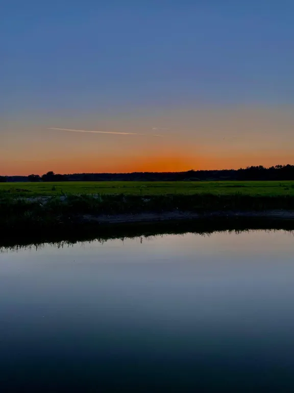 Отдых на территории гпу Беловежская пуща