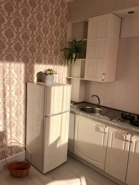 Однокомнатная квартира в центре у парка Юность