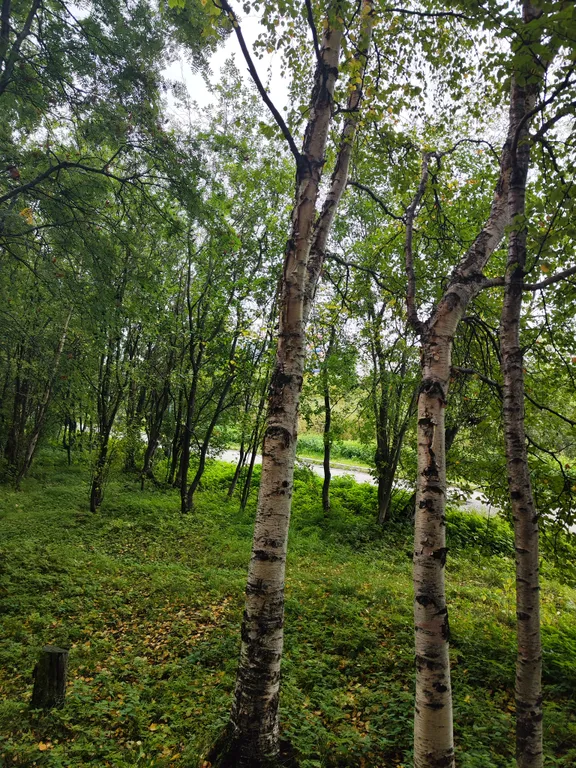 Уютная квартира в прекрасном районе города