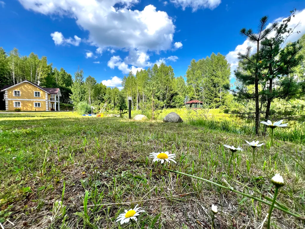 Уютный элитный коттедж на берегу озера рядом с трассой М1