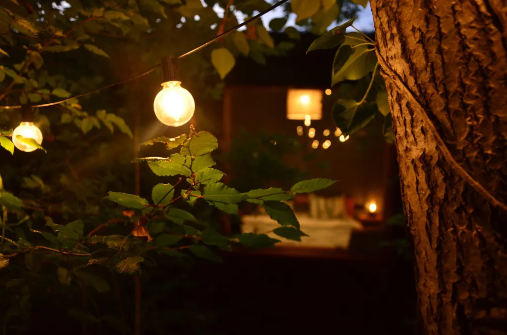 Дом на краю леса с видом на горы