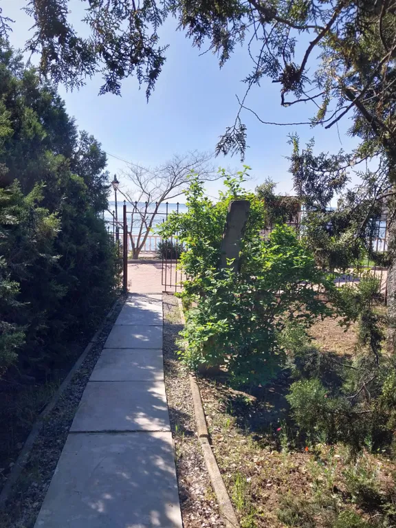 Двухэтажные срубы на берегу моря