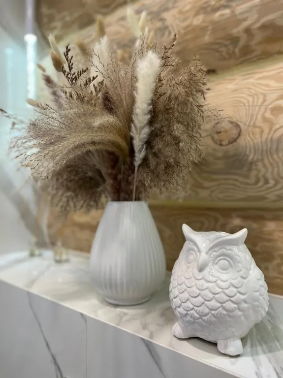 Аренда дома на Неве в 30 минутах от Петербурга в Песках