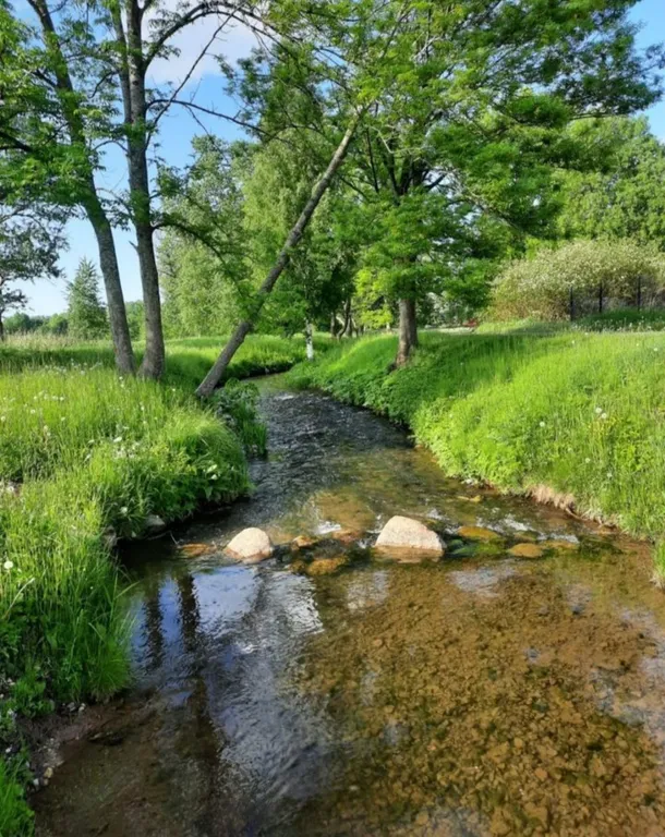 Уютный дом с дровяной баней и камином у Петергофа.