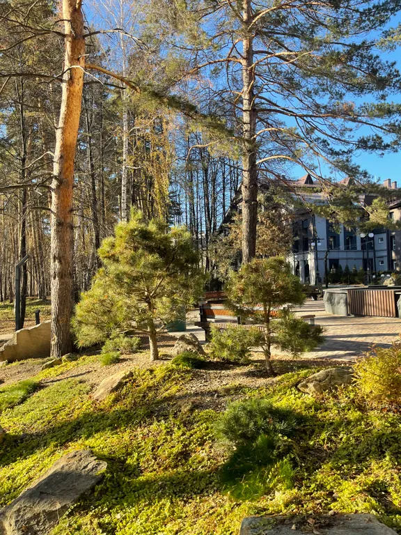 Апартамент в скандинавском парк-отеле Еловое