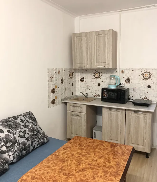 Просторная студия с кондиционером в центральном районе