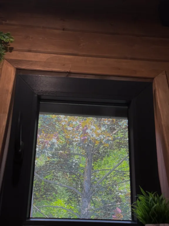 Уютный домик с купелью и баней в сосновом лесу