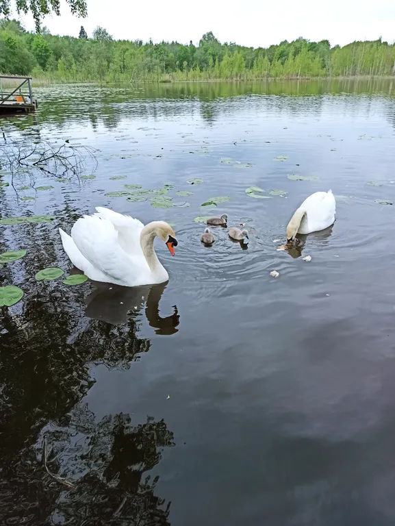 Гостевой дом Белькино 1.