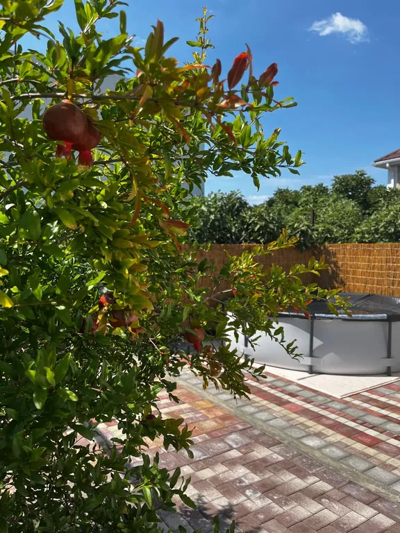 Коттедж Гостевой дом Инжир — Анапа