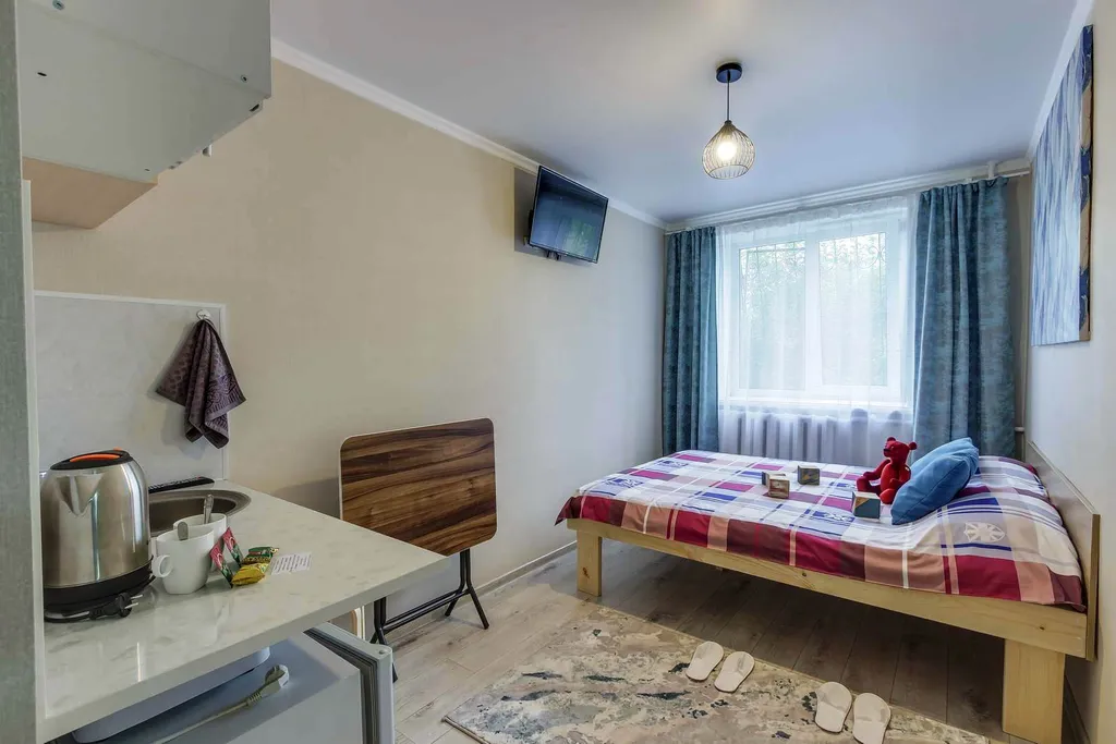 Студия — комната с мини-кухней и собственным санузлом