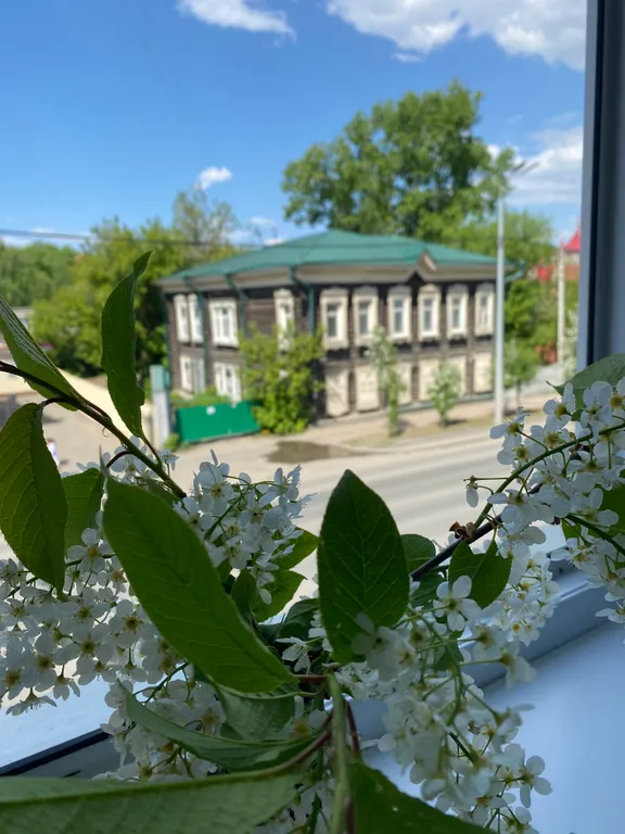 Квартира в историческом центре города, ВУЗы в шаговой доступности