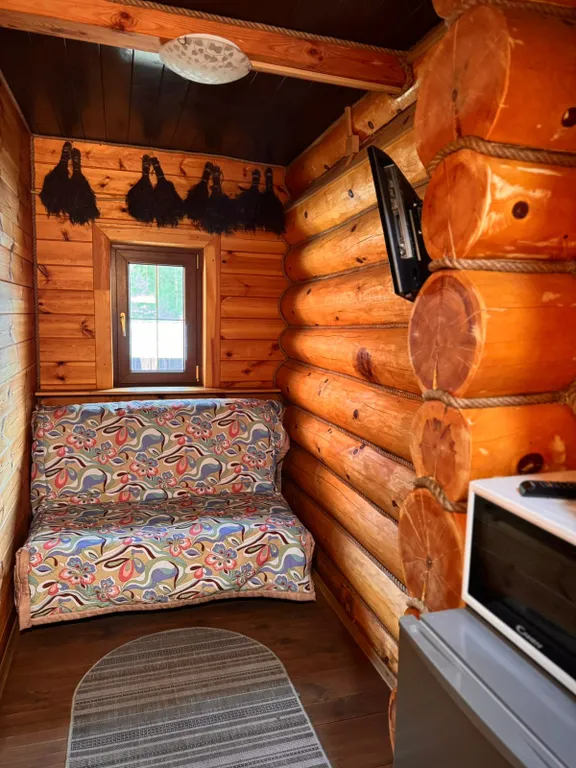 Алтайский кедр