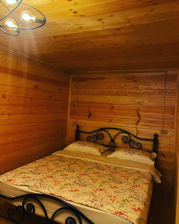 Домики-шале с видом на сосновый лес