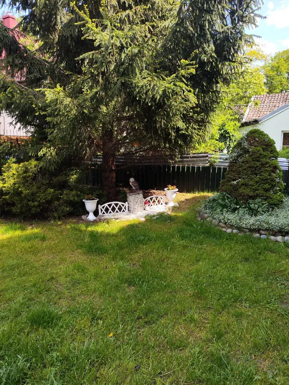 Квартира Уютные апартаменты в центре города — Светлогорск