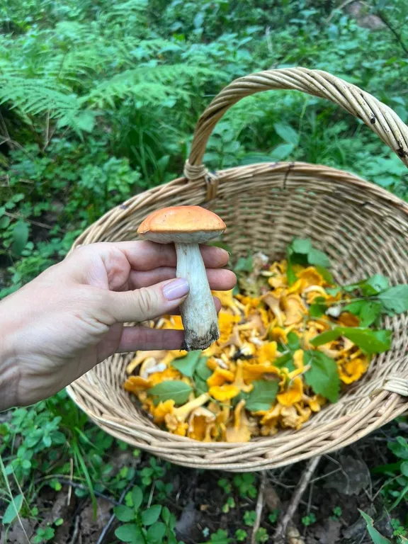 Коттедж Отдохните на можайском водохранилище в деревенском доме — Можайск