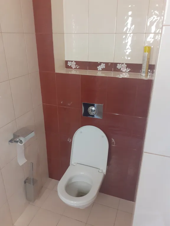 Квартира 3-комнатная Квартира — Светлогорск