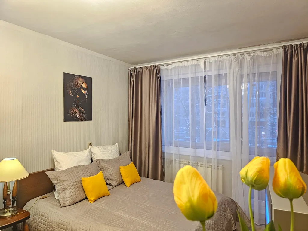 Просторная однокомнатная квартира