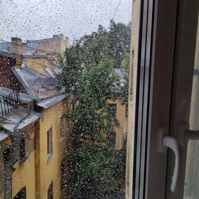 Квартира Квартира в доме Зенкевич — Санкт-Петербург