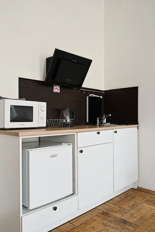 Огромная студия у Аничкова моста №1