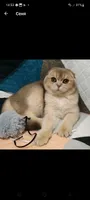 Дмитрий
