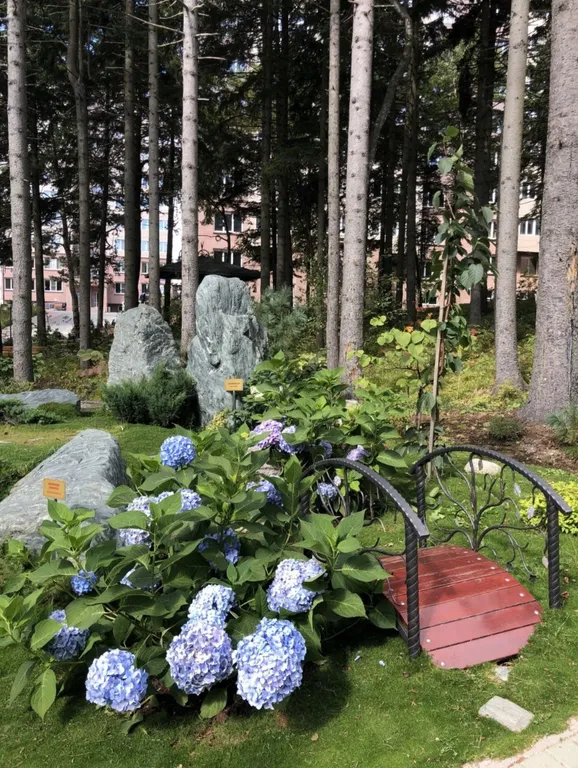 Квартира в Сосновом Бору