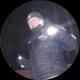 Роман