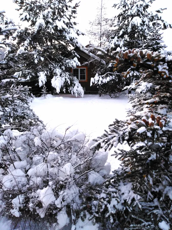 Дом - баня на берегу реки