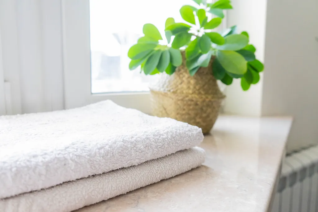 Студия с камином, деревом и видом на реку