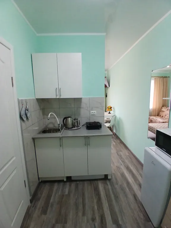 Квартира-студия с шикарным видом из окна на горы и парк