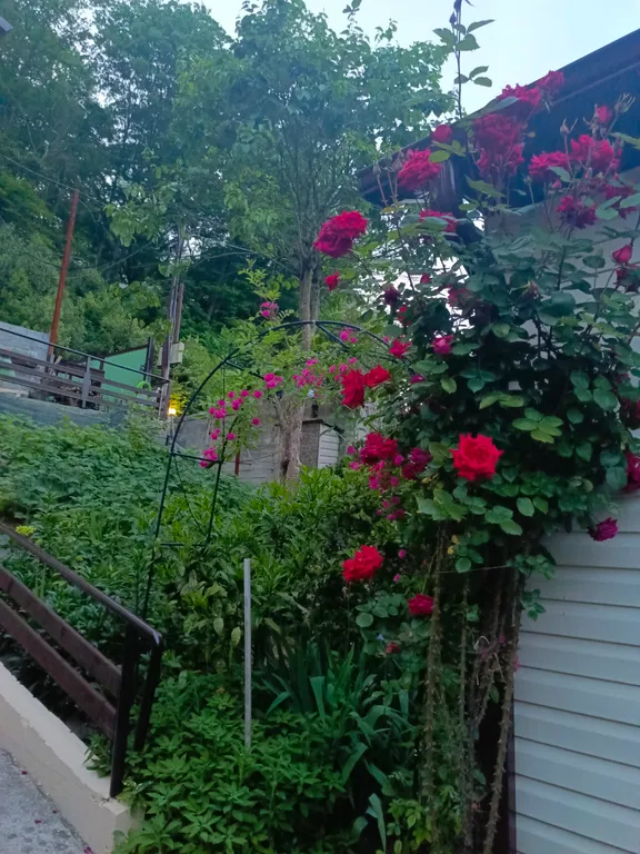 2-комнатный Дом