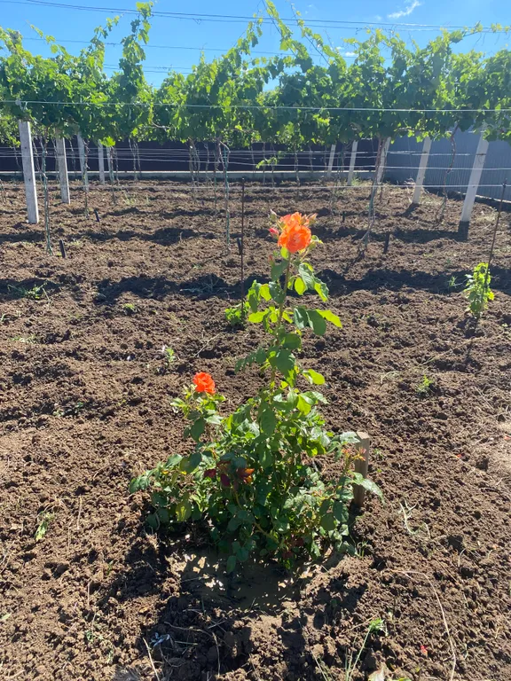 Уютный домик у моря