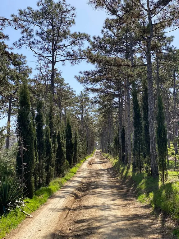Квартира Квартира Большая студия со свежим ремонтом с видом на море — Севастополь